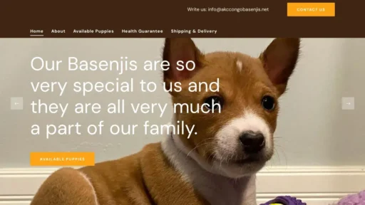 Scam Website Screenshot Akccongobasenjis.net