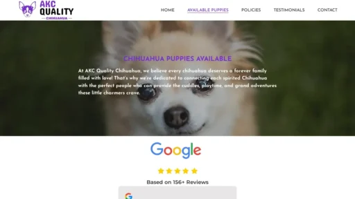 Scam Website Screenshot Akcqualitychihuahua.com