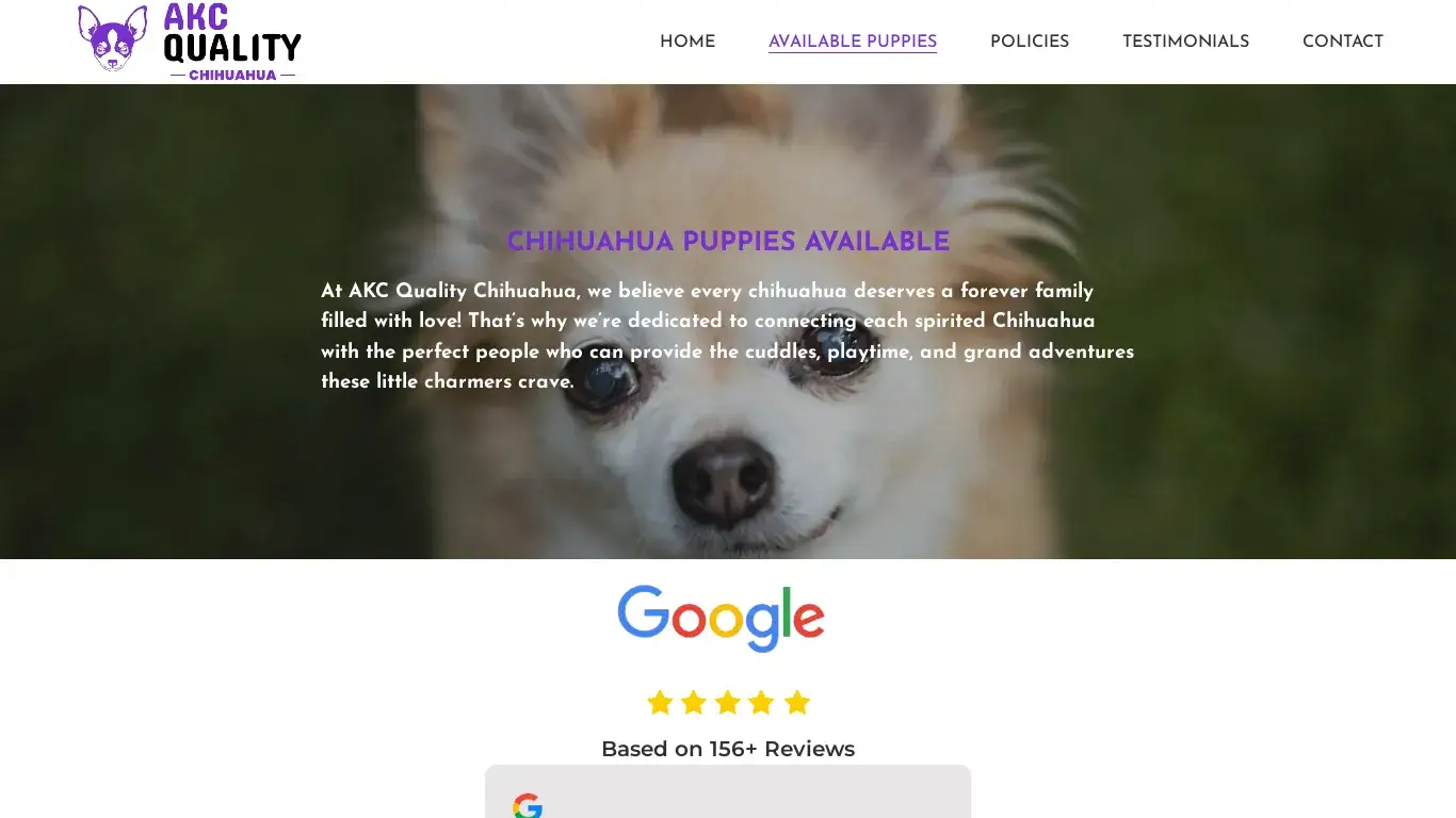is AKC Quality Chihuahua legit? screenshot