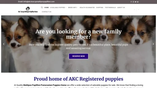 Scam Website Screenshot Akcteacupmaltipoopapillion.com