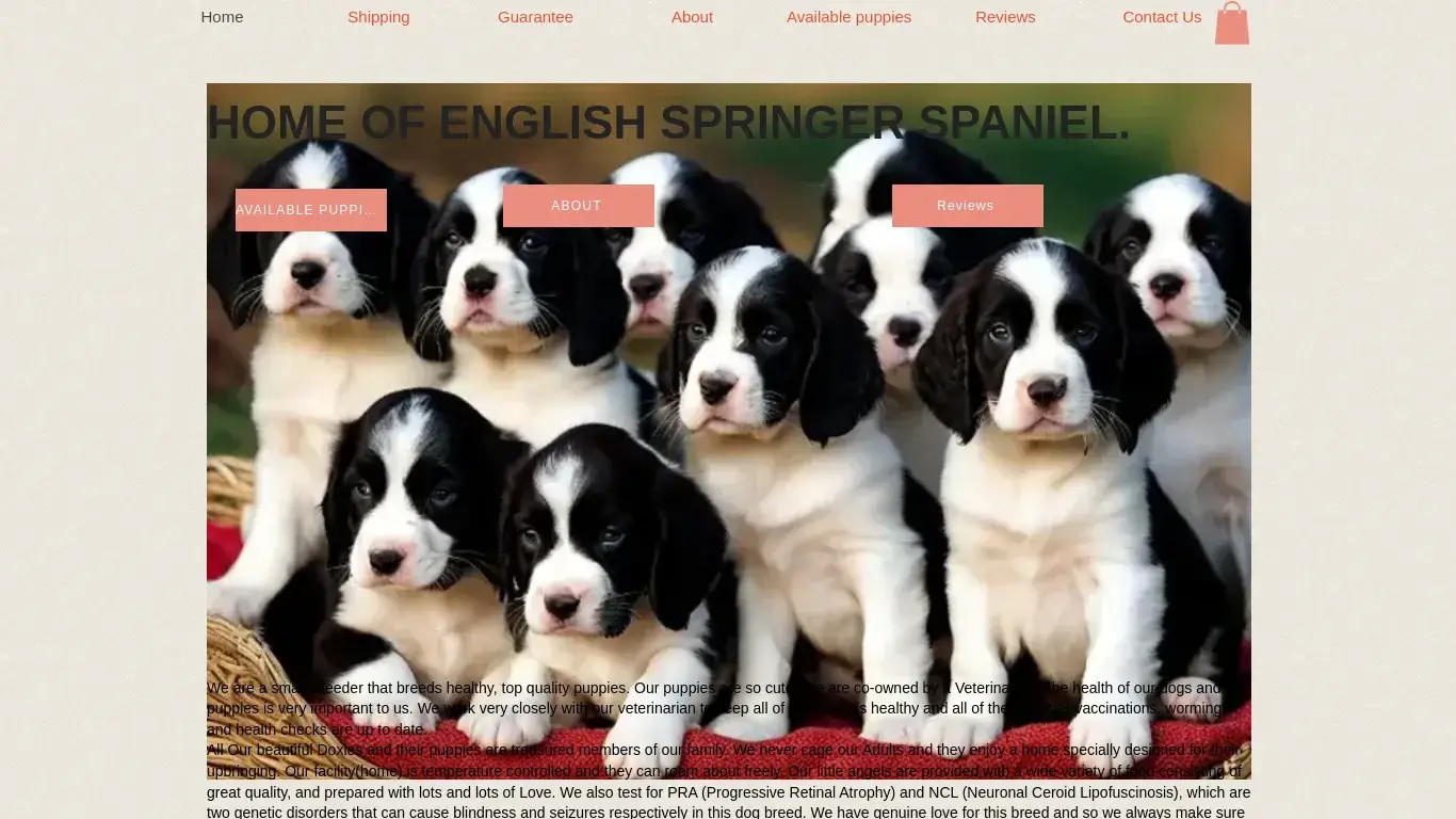 is Home | English springer legit? screenshot