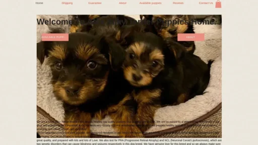 Scam Website Screenshot Alexsilkyterriers.com