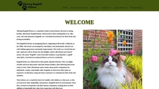 Scam Website Screenshot Alluringragdollkittens.com