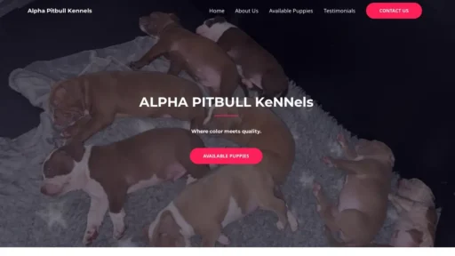 Scam Website Screenshot Alphapitbullkennels.com