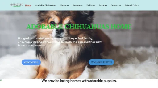 Scam Website Screenshot Amazingchipups.com