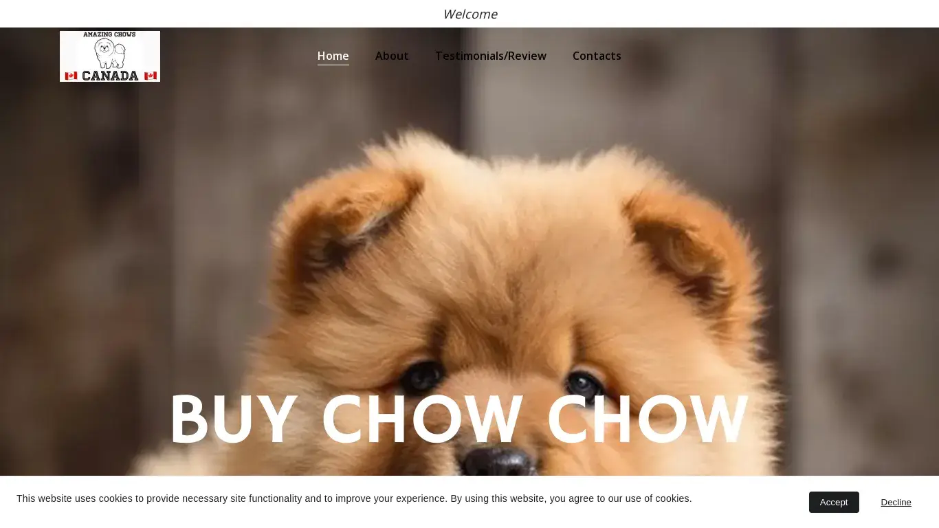 is Buy Chow chow puppies Australia Chow chow puppies for sale | Vertigo import and export limited legit? screenshot