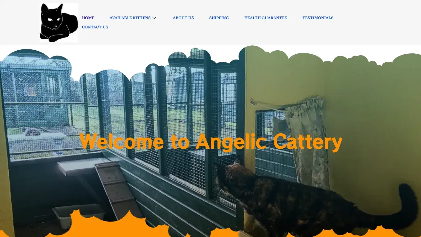 is Angelic Cattery | A Premier Licensed Cattery legit? screenshot