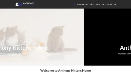 Scam Website Screenshot Anthonykittenshome.co.za