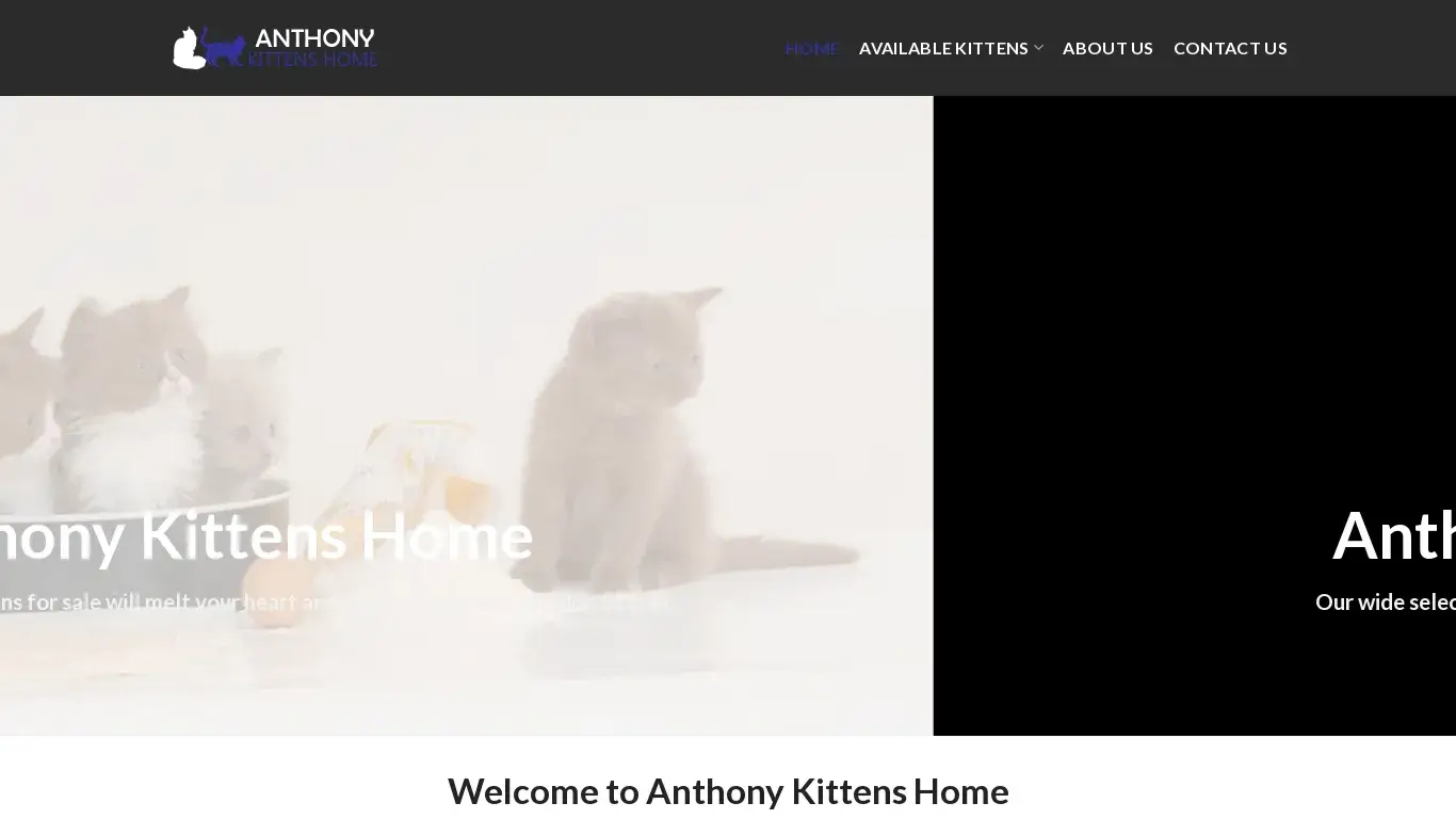 anthony kitten s home co za