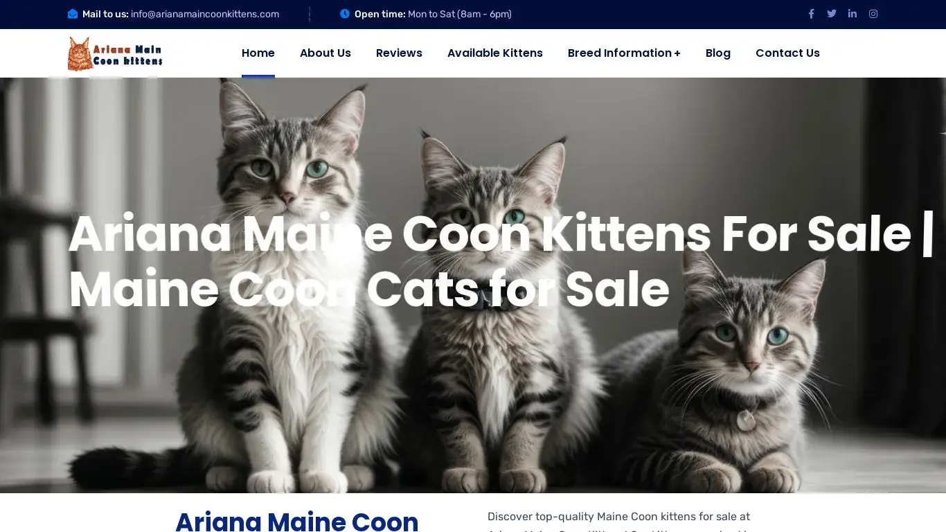 is Ariana Main Coon Kittens legit? screenshot