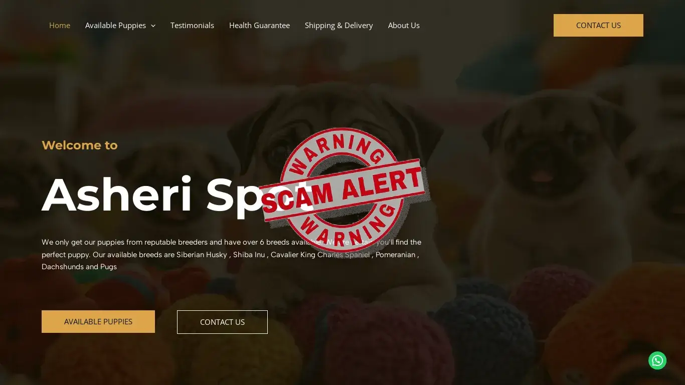 is ASHERI SPOT legit? screenshot