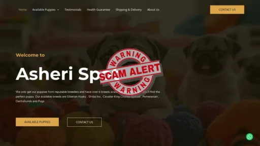 Scam Website Screenshot Asherispot.com
