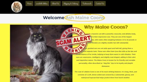 Scam Website Screenshot Ashmainecoon.com