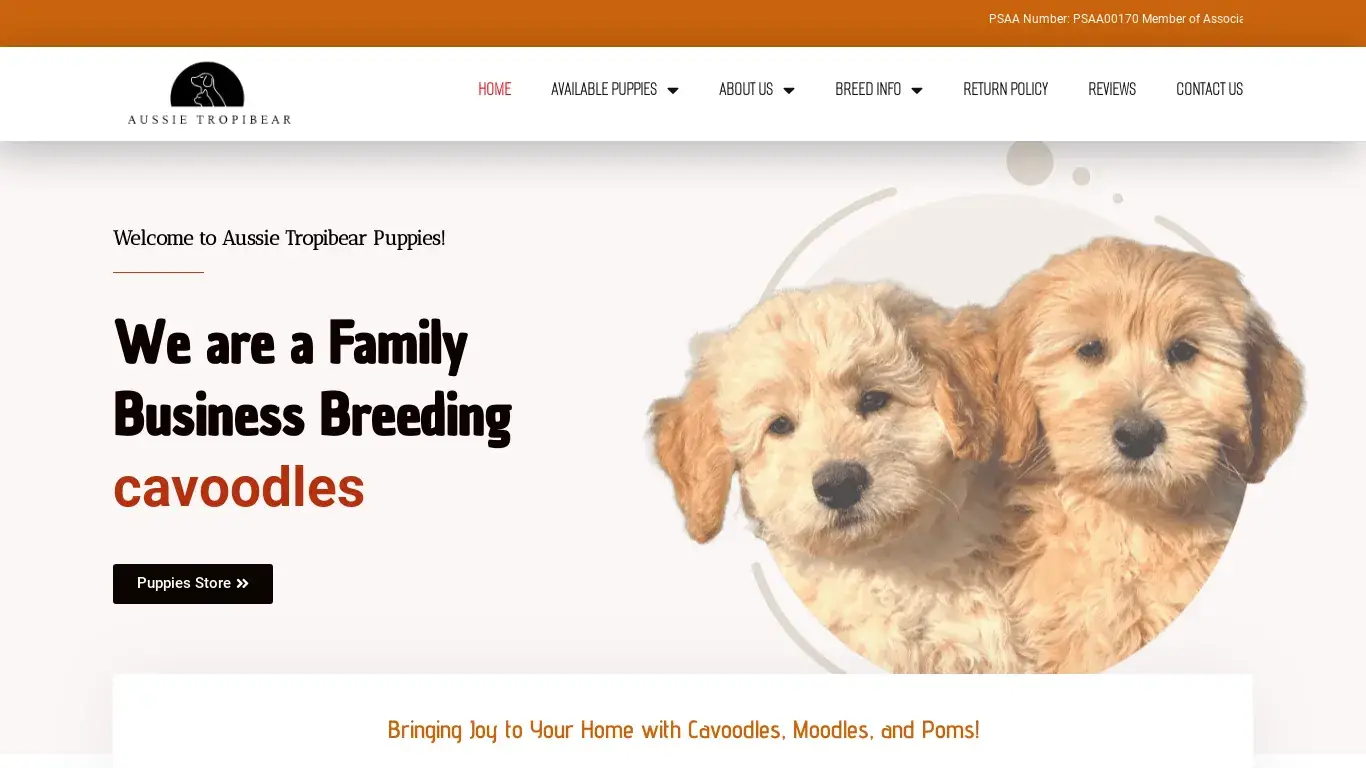 is Aussie Trop Bear Puppies – The Perfect Blend of Joy and Cuddles! legit? screenshot