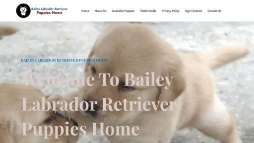 Scam Website Screenshot Baileylabradorretrieverpuppieshome.com