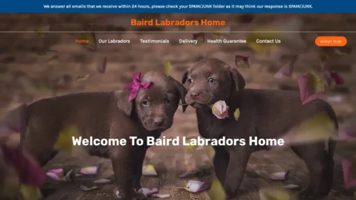 Scam Website Screenshot Bairdlabradorshome.com