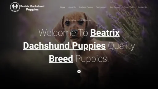 Scam Website Screenshot Beatrixdachshundpuppies.com
