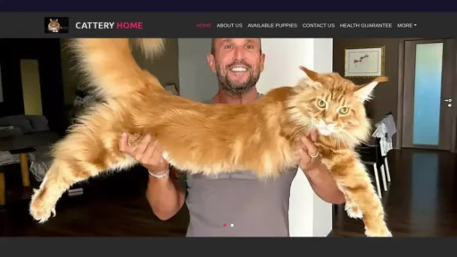 Scam Website Screenshot Beautifulkittenshome.com
