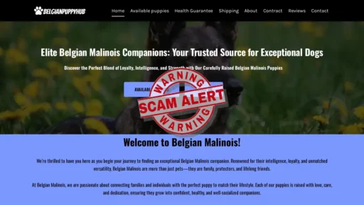 Scam Website Screenshot Belgianpuppyhub.com