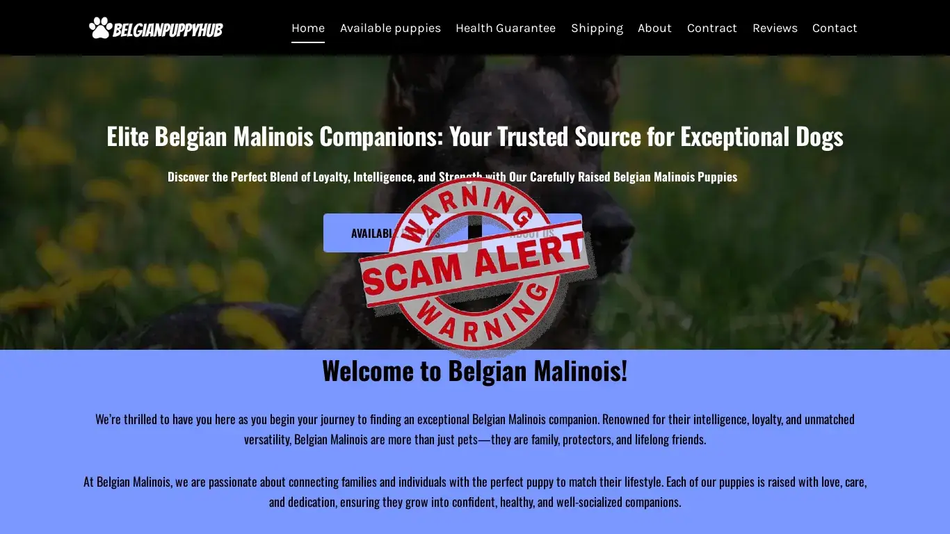 is Home - belgianpuppyhub.com legit? screenshot
