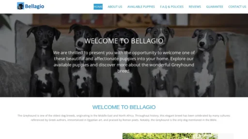 Scam Website Screenshot Bellagiogreyhounds.com