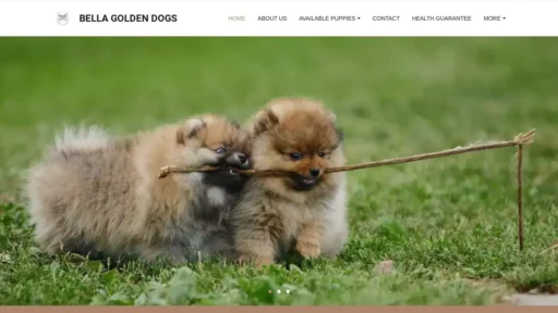 Scam Website Screenshot Bellagoldendogs.com