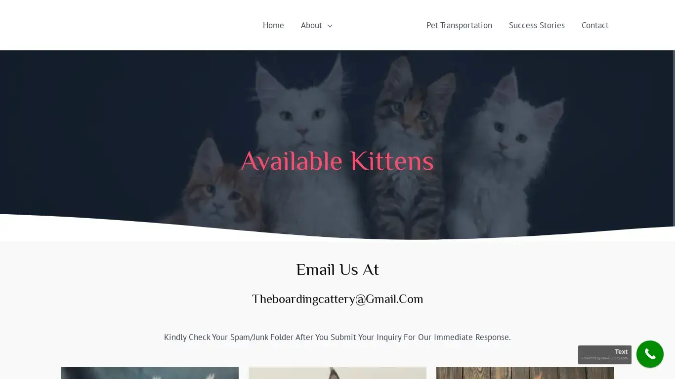 is Boarding Cattery – Maine Coon Kittens For Sale legit? screenshot