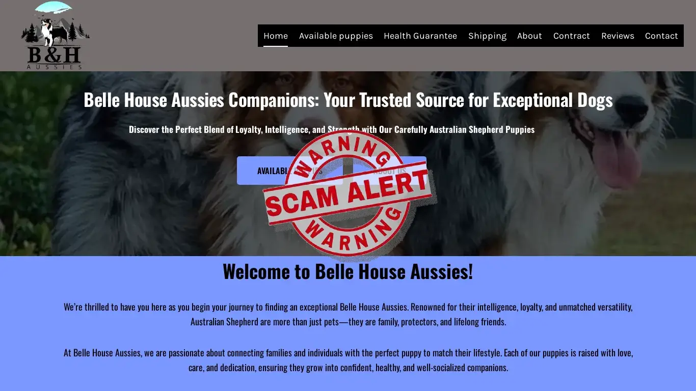 is Home - Belle House Aussies legit? screenshot