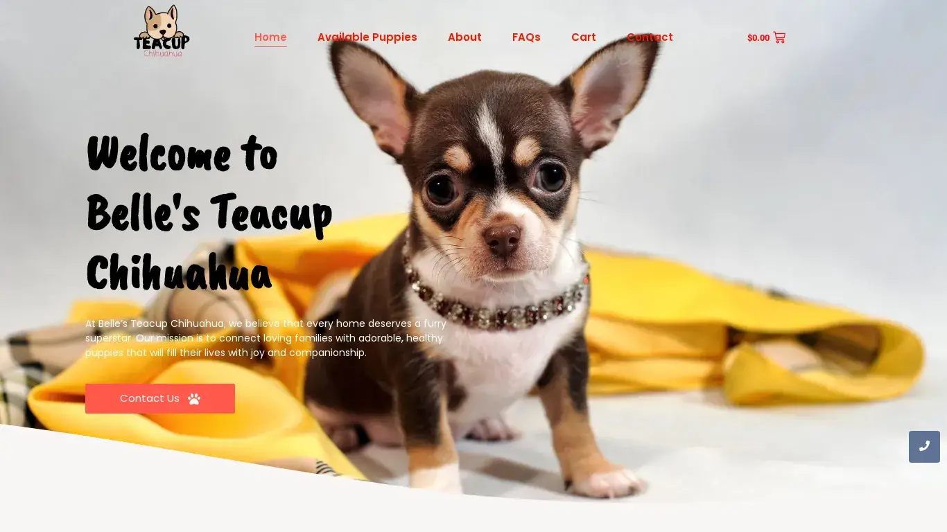 is Belle's Teacup Chihuahuas – Pint-sized Perfection: Find Your Chihuahua Companion at Belle's Teacup Chihuahuas legit? screenshot