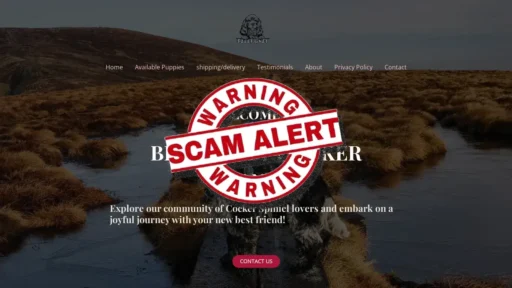 Scam Website Screenshot Bellygrey.com