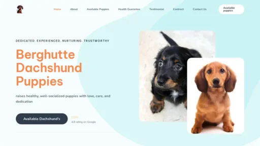 Scam Website Screenshot Berghuttedachshundpuppies.com