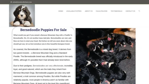 Scam Website Screenshot Bernedoodlecheers.com