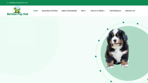 Scam Website Screenshot Bernesepuphub.com