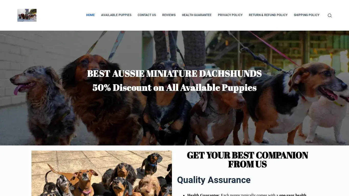 is Best Miniature Dachshund Puppies – Available at 50% Dsicount Rate In Australia legit? screenshot