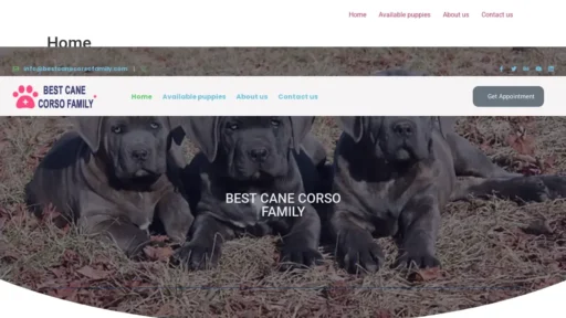 Scam Website Screenshot Bestcanecorsofamily.com