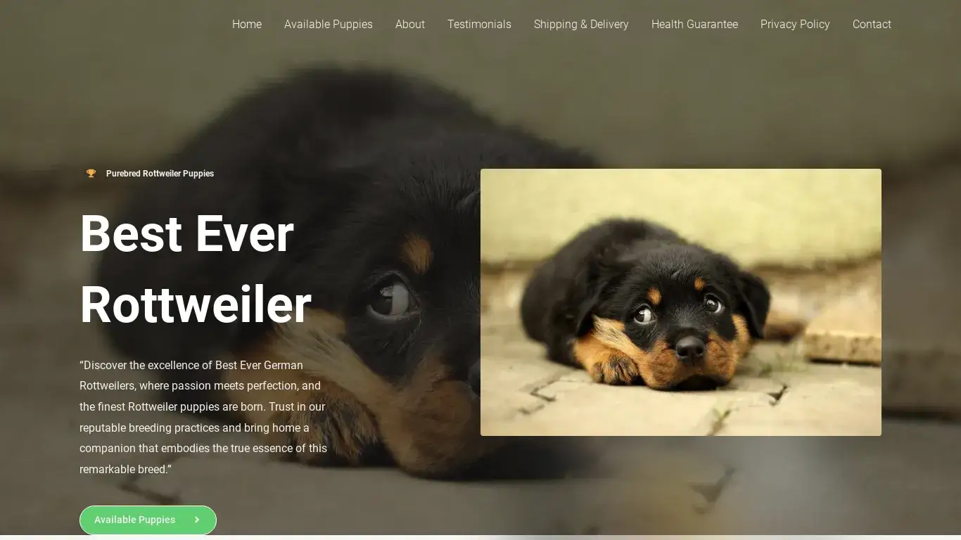is Best Ever German Rottweilers legit? screenshot