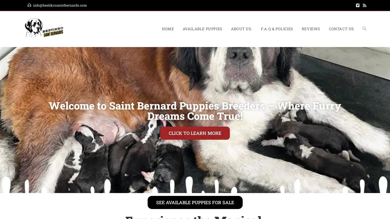 is Saint Bernard – Reputable Registered Breeder legit? screenshot