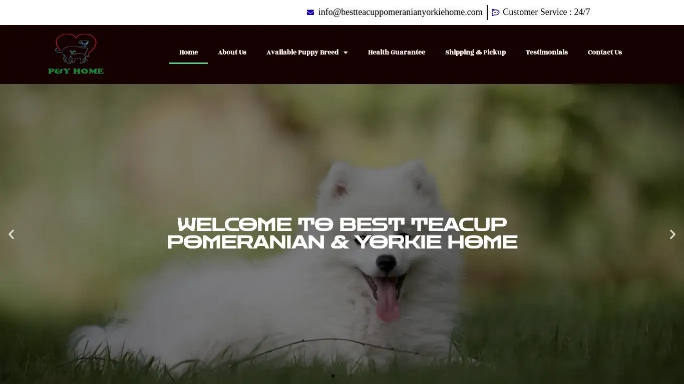 is Best Teacup Pomeranian Yorkie Home legit? screenshot