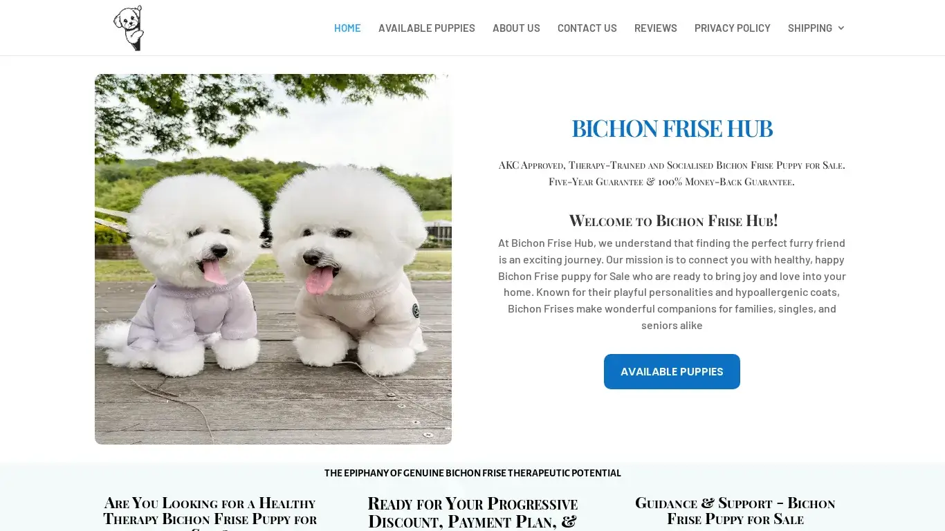 is HOME - BichonFriseHub - Bichon Frise Puppies for Sale legit? screenshot