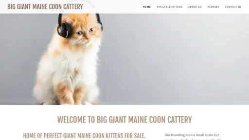 Scam Website Screenshot Biggiantcoonzcattery.com