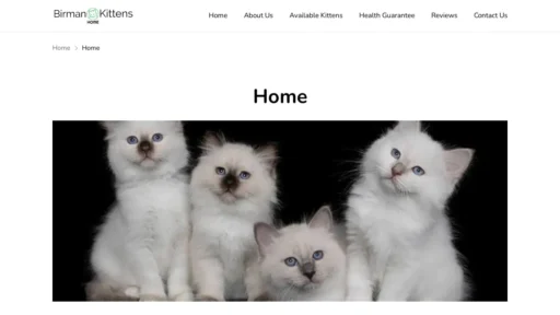 Scam Website Screenshot Birmankittenhome.com