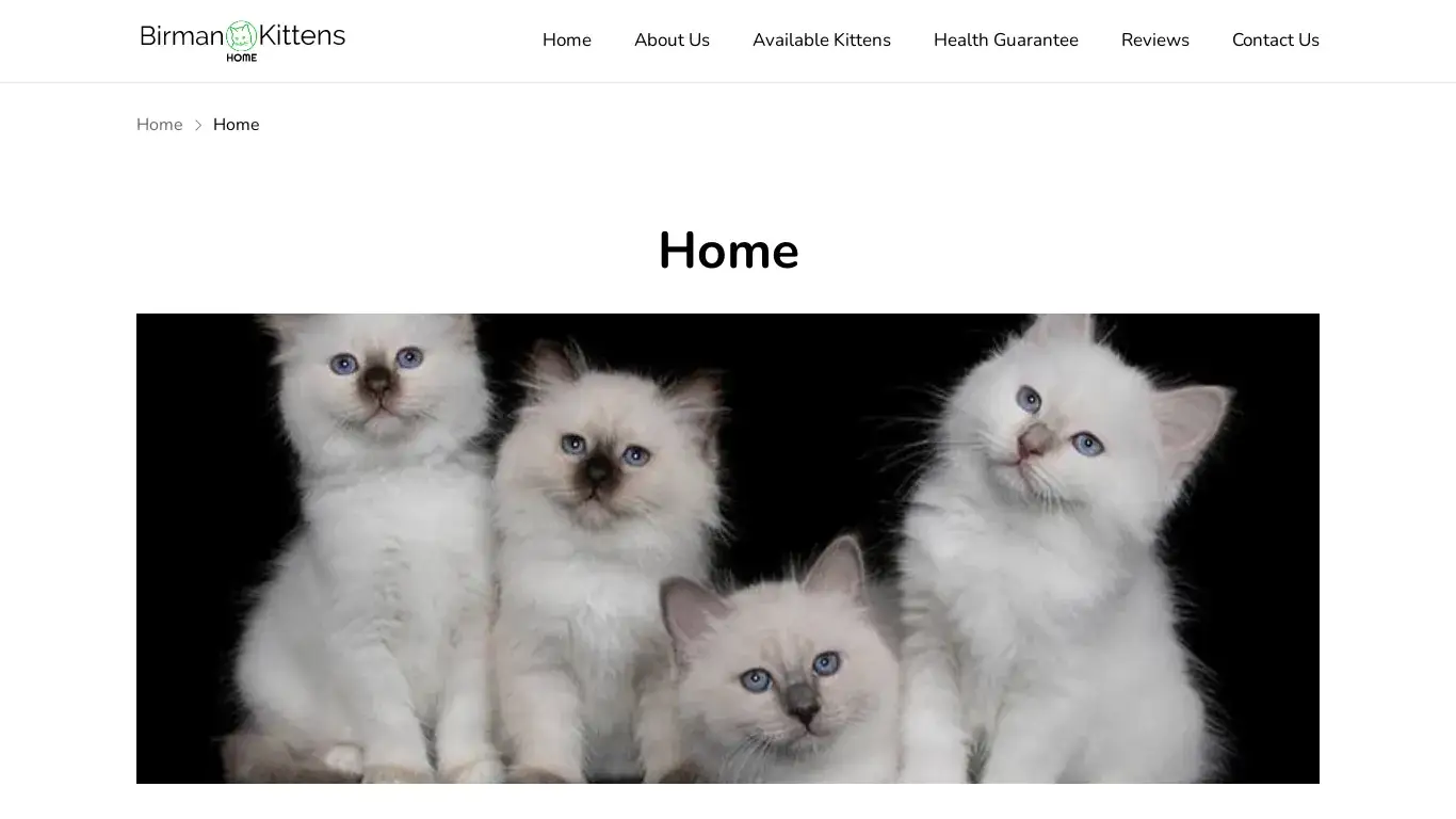 is birmankittenhome.com legit? screenshot