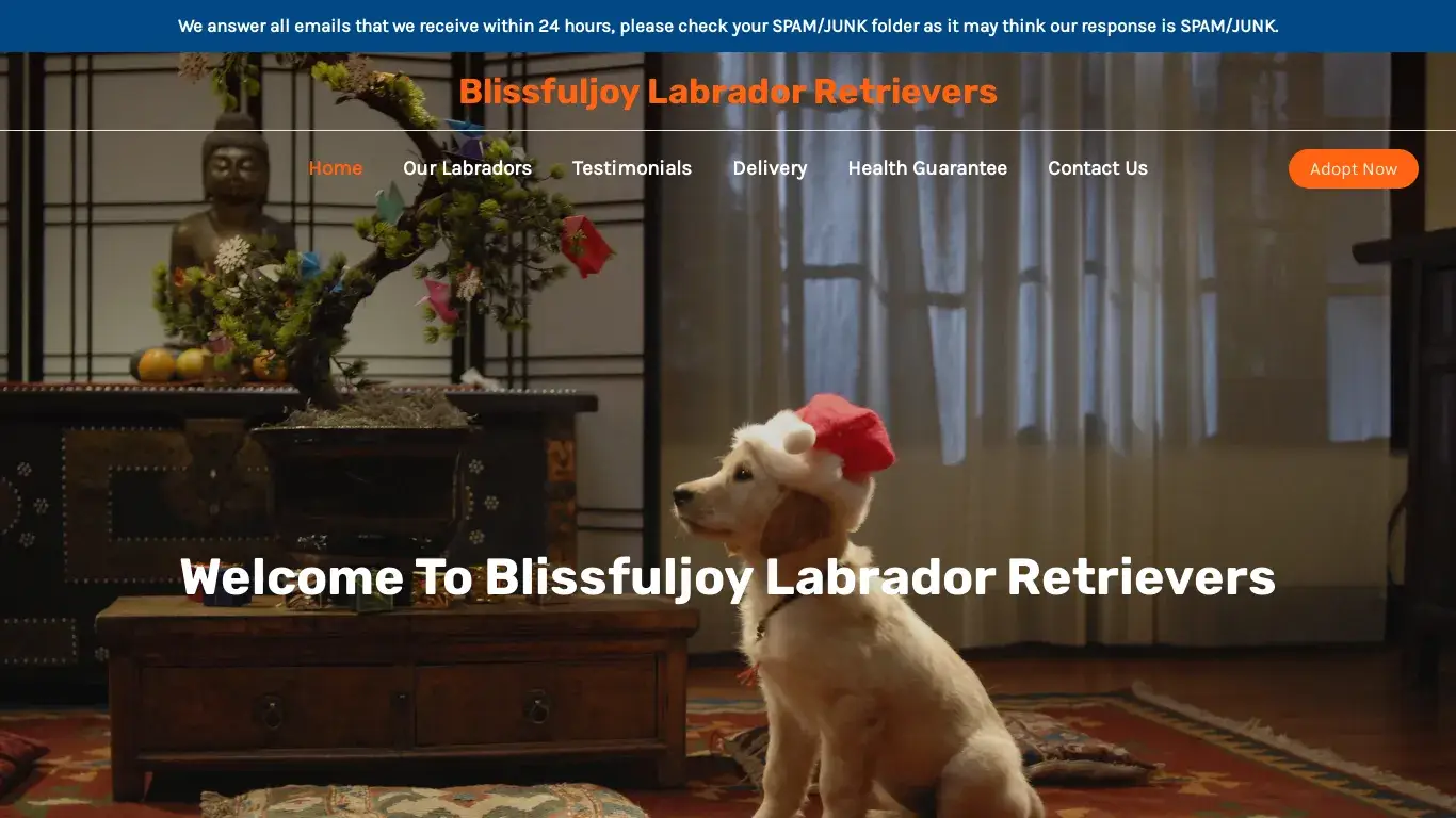 is Blissfuljoy Labrador Retrievers – Purebred Labrador Retrievers For Sale legit? screenshot
