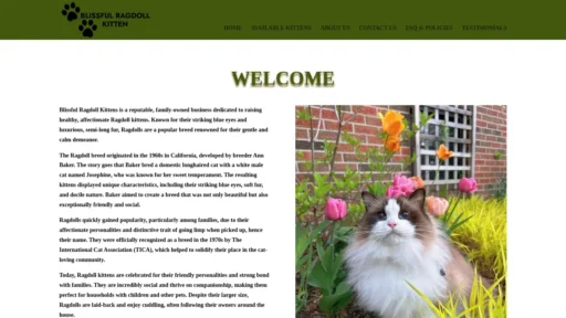 Scam Website Screenshot Blissfulragdollkittens.com