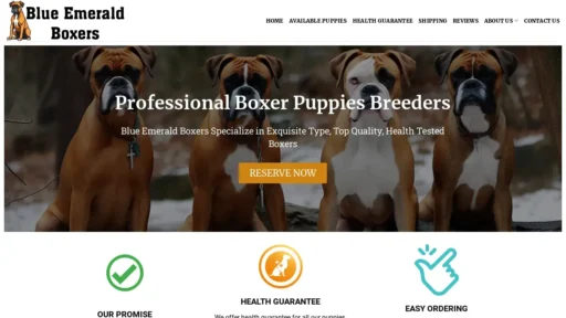 Scam Website Screenshot Blueemraldboxers.com