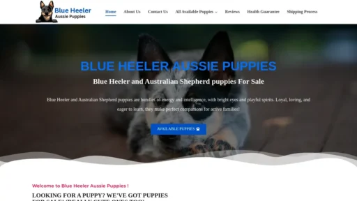 Scam Website Screenshot Blueheeleraussiepuppies.com