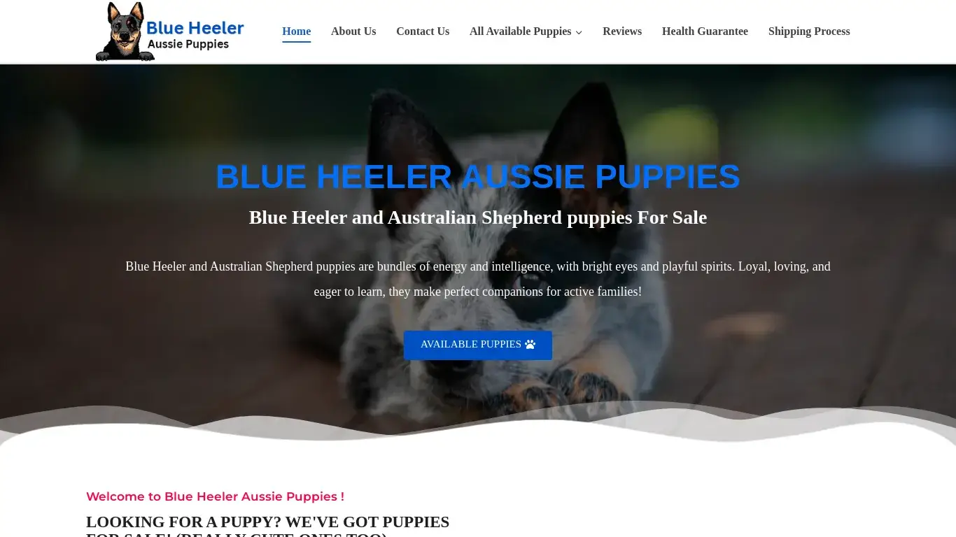 is Blue Heeler Aussie Puppies legit? screenshot