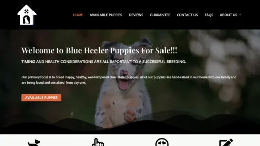 Scam Website Screenshot Blueheelercompaniom.com
