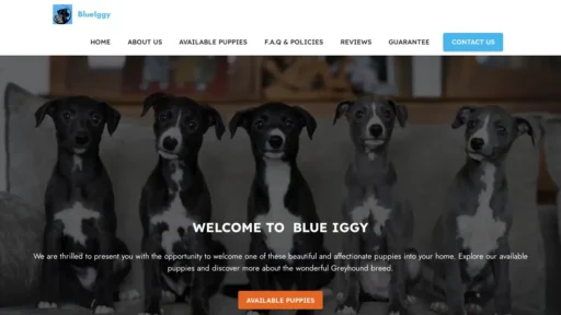 Scam Website Screenshot Blueiggies.com
