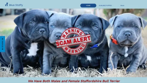 Scam Website Screenshot Bluestaffordshirebullterrierpuppieshome.com